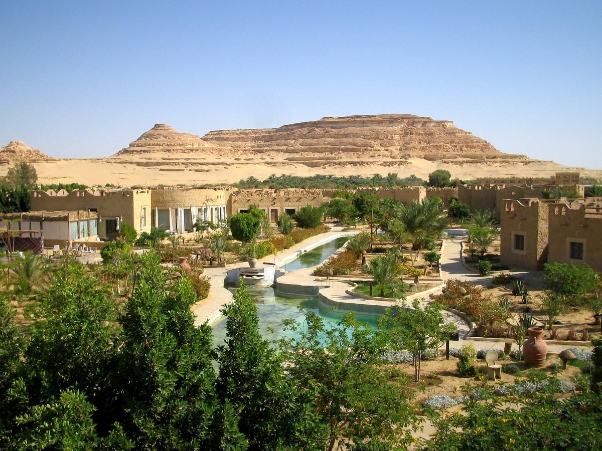 واحة سيوة